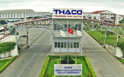 THACO, FPT… và sức hút thực sự từ nông nghiệp