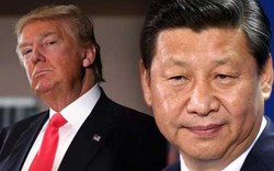 Trump chọn người ghét Trung Quốc phụ trách thương mại, điều gì xảy ra?