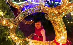 Ảnh: Giáng sinh lung linh trên từng ngôi nhà ở Hà Nội