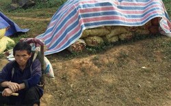 Dân mạng kêu gọi mua giúp gừng tồn ứ cho bà con Hà Giang
