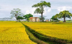 Tour du lịch đồng quê hoài niệm hút khách đến Khánh Hòa