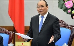 Thủ tướng: Bí thư, Chủ tịch các địa phương không về Hà Nội chúc Tết