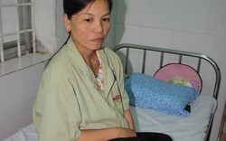 Bình Định: Dân bất an vì rắn độc bò vào nhà cắn người