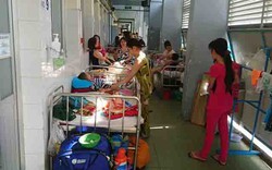 TP.HCM mưa nhiều, bệnh sốt xuất huyết tăng khó lường