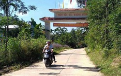 Kinh tế rừng - “đòn bẩy” ở Quế Ninh