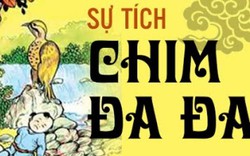 Truyện cổ tích Việt Nam: Sự tích chim đa đa