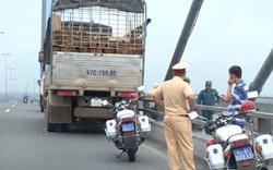 Phát hiện thi thể tài xế nhảy cầu Mỹ Thuận trôi xa hơn 50km