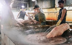 Giá lợn (heo) hôm nay 8.10: Đóng cửa lò mổ không giải quyết được thịt bẩn, sản lượng thịt heo giảm 50%, giá thịt Hà Nội thế nào?
