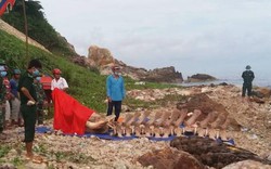 Cận cảnh bộ xương “khủng” của cá ông hơn 10 tấn lạc trôi ở Kiên Giang
