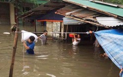 Tiểu thương Nghệ An thiệt hại nặng do mưa lớn