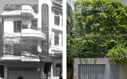 Biến nhà cũ thành “biệt thự xanh”, công trình Việt khiến báo tây sửng sốt