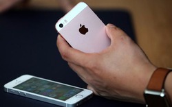Chọn iPhone SE giá dưới 4 triệu đồng, "ngon" hơn iPhone mới