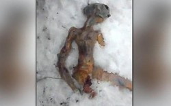 Xôn xao tìm thấy thi thể người ngoài hành tinh bị đóng băng ở Nga 