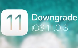 Bản cập nhật iOS 11.0.3 trình làng cho iPhone bị loạn cảm ứng