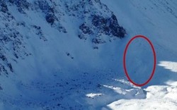 Bạn gái bị tuyết vùi chết, nhà leo núi Mỹ đau khổ tự vẫn