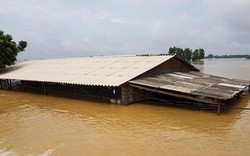 Cập nhật mưa lũ: Vỡ đê ở Hà Nội, nước ngập gần tới nóc nhà