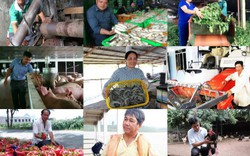 Chân dung 87 nông dân Việt Nam xuất sắc 30 năm Đổi Mới (Phần 3)