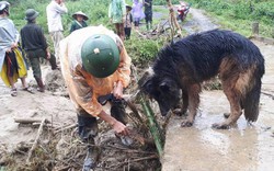 Hòa Bình: CSCĐ, chó nghiệp vụ dầm mưa tìm người bị vùi trong đất lở