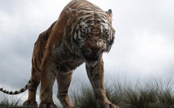 Truy lùng hổ cái giết 4 người vì thích "mùi vị thịt người” ở Ấn Độ