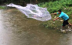 Clip: Người Sài Gòn buông chài, thả lưới bắt cá trên đường sau mưa lớn