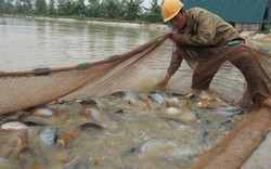 Phó Bí thư Thành ủy Hà Nội: Tiền đã bố trí, không tiêu được là lỗi