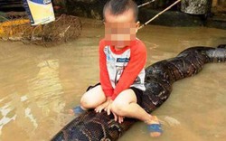 Vụ bé trai 3 tuổi cưỡi trăn 50kg ở Thanh Hóa: Xử phạt hành chính