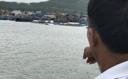 Vụ tàu cá bị cháy: CA đã kết luận, Bảo Minh vẫn chưa trả bồi thường