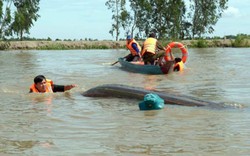 “Biệt đội” cứu hộ, cứu nạn nơi… rốn lũ!