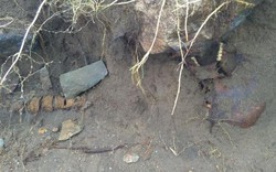 Bão “hủy diệt” để lộ bộ xương nghìn tuổi trên bờ biển Ireland