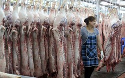 Kiểm soát thịt lợn: TP.HCM và cuộc chiến gian nan với chiếc "vòng"