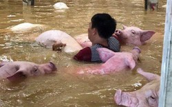 Thanh Hóa thiệt hại gần 3.000 tỷ đồng do mưa lũ