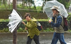 Siêu bão "quái vật" Lan càn quét Nhật Bản, nhiều người thương vong