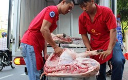 Giá lợn (heo) hôm nay 24.10: Thương lái Xuyên Á cam kết không tiêm thuốc an thần vào heo, Đông Nam Bộ giảm còn 25.000 đ/kg