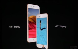 iPhone 7 giảm giá mạnh, iPhone 8 chính hãng chốt ngày lên kệ ở VN