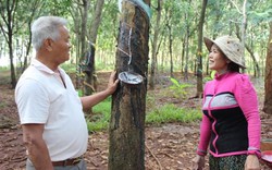 Bình Phước: Ông Na hiến đất xây trường, làm nhà cho người nghèo