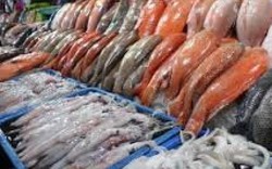 Tổng cục Thủy sản họp báo về việc EU rút thẻ vàng với hải sản VN