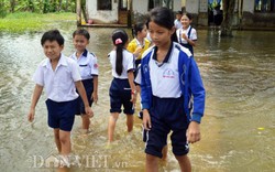 Cho heo ăn nước ngập tới gối, rau, cá thất thu trong mấy tháng trời