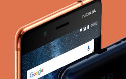 Nokia 8 đã có Android 8.0 Oreo beta, hàng triệu fan háo hức