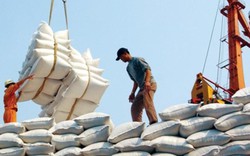 Sri Lanka “đặt hàng” 200.000 tấn gạo