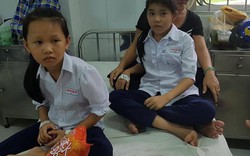 Cần Thơ: Ngưng phát sữa Milo miễn phí cho học sinh sau vụ ngộ độc