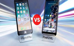 So tài chụp ảnh của iPhone 8 Plus và Google Pixel 2 XL