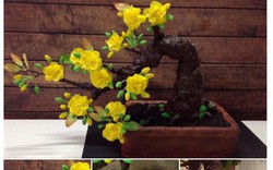 Cách làm lòng heo "bá đạo" và cây mai bonsai nóng nhất cộng đồng mạng tuần qua