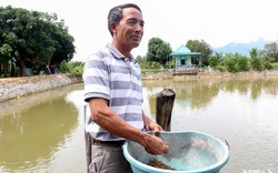 Làm giàu ở nông thôn: Khổ công đào 5 ao nền đá nuôi cá, lãi 200 triệu/năm