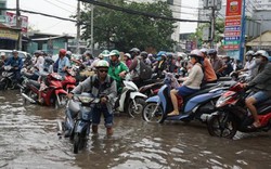 TP.HCM: Sẵn sàng di dời dân tránh áp thấp nhiệt đới, bão