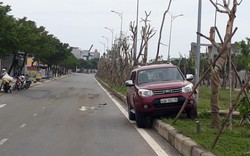 Xế hộp bay lên dải phân cách vì tông phải bò ngủ giữa đường