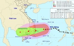 Đêm nay trên đất liền ven biển từ Bình Định đến Ninh Thuận gió giật cấp 15