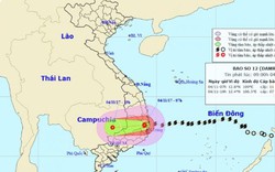 Bản tin thời tiết 9h30: Bão  số 12 hoành hành đất liền, mưa to khắp nơi