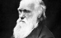 Hé lộ căn bệnh quái lạ đầy bí ẩn của nhà bác học Charles Darwin