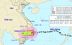 Bản tin thời tiết 11h: Bão số 12 di chuyển nhanh, đổ bộ sang Tây Nguyên