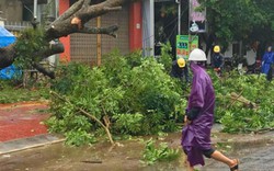 Bão số 12 tràn lên, Tây Nguyên thiệt hại nặng nề